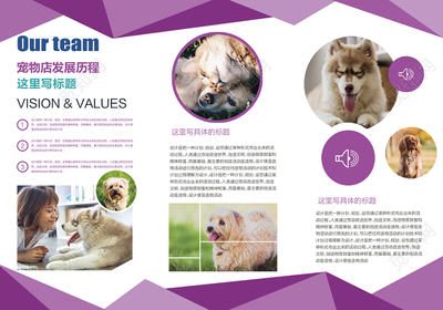 寵物產(chǎn)品創(chuàng)新,寵物產(chǎn)品商業(yè)計(jì)劃模板