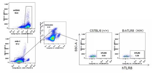廚房里有什么釣魚和烹飪的工具