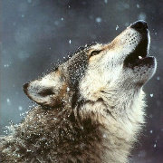 米加小家廚房用具